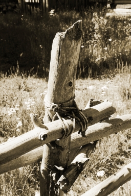 Roped Fencepost
