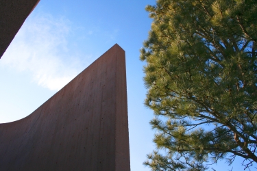 NCAR in the pines
